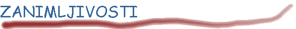 ZANIMLJIVOSTI